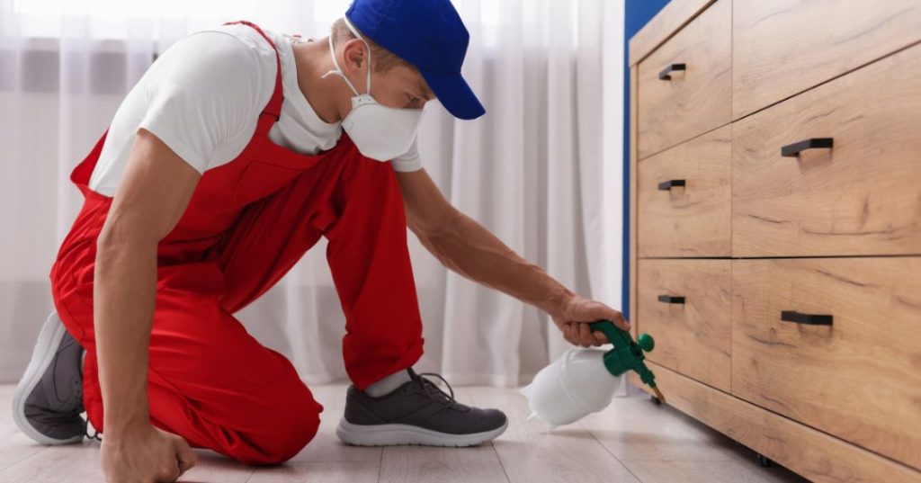 capa dedetizacao em Campina Grande